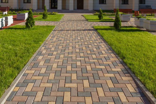 Best Best Driveway Pavers  in Rock Rapids, IA